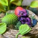 Glass Dome with Dragon Nest