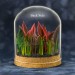 Green Sleeping Dragon Under Glass Dome