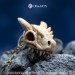 Dragon Skull Pendant