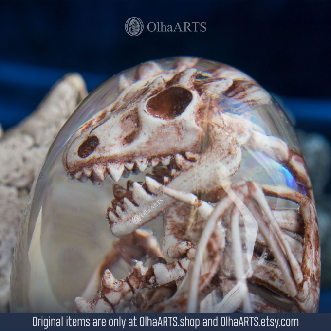 Skeleton Dragon Egg. VIP Gift Set with an undead baby dragon in epoxy resin egg