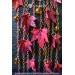 Red Maple Necklace with autumn leaves, customizable