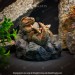 Tyrannosaurus Rex baby with its stone nest