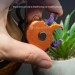 Fridge Magnet with a Miniature Dragon in a Witch Cauldron