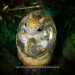 Dream Glider Dragon Egg, color Golden Pearl