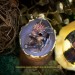 Dragon Hatchling in Dark Rainbow color