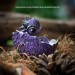 Dream Glider Dragon Hatchling, in Moon Violet color