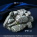 Tyrannosaurus Rex Egg with Realistic Dinosaur Embryo in Crystal Egg